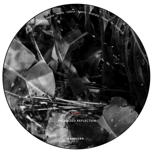 Vâyu - Polarized Reflection.ANNULLEDCD05