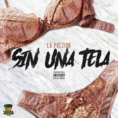 Sin Una Tela - La PreZion (Official Audio)