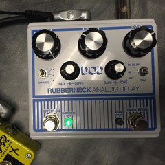 Rubberneck Delay with modulation and bass rolloff