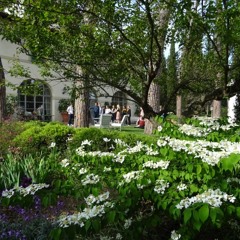 Hvor Er Min Kokosnøtt (Marienlyst)