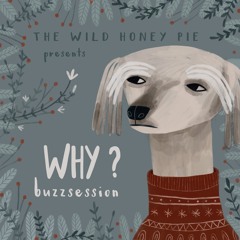 WHY? - The Barely Blur (Buzzsession)