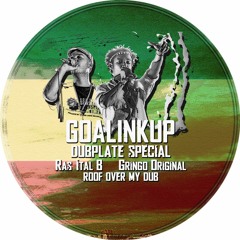 Rudy Roots Special - Ras Ital B / Gringo Original - Roof Over My Dub