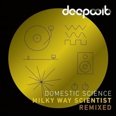 Domestic Science - The Signals BDTom Remix Cut