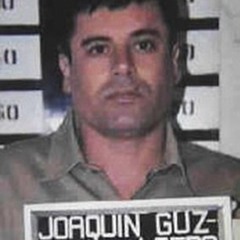 Pu$hin Brick$ ft ParaBXlla