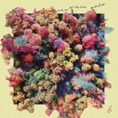 Carrière Solo - Surrounding Me