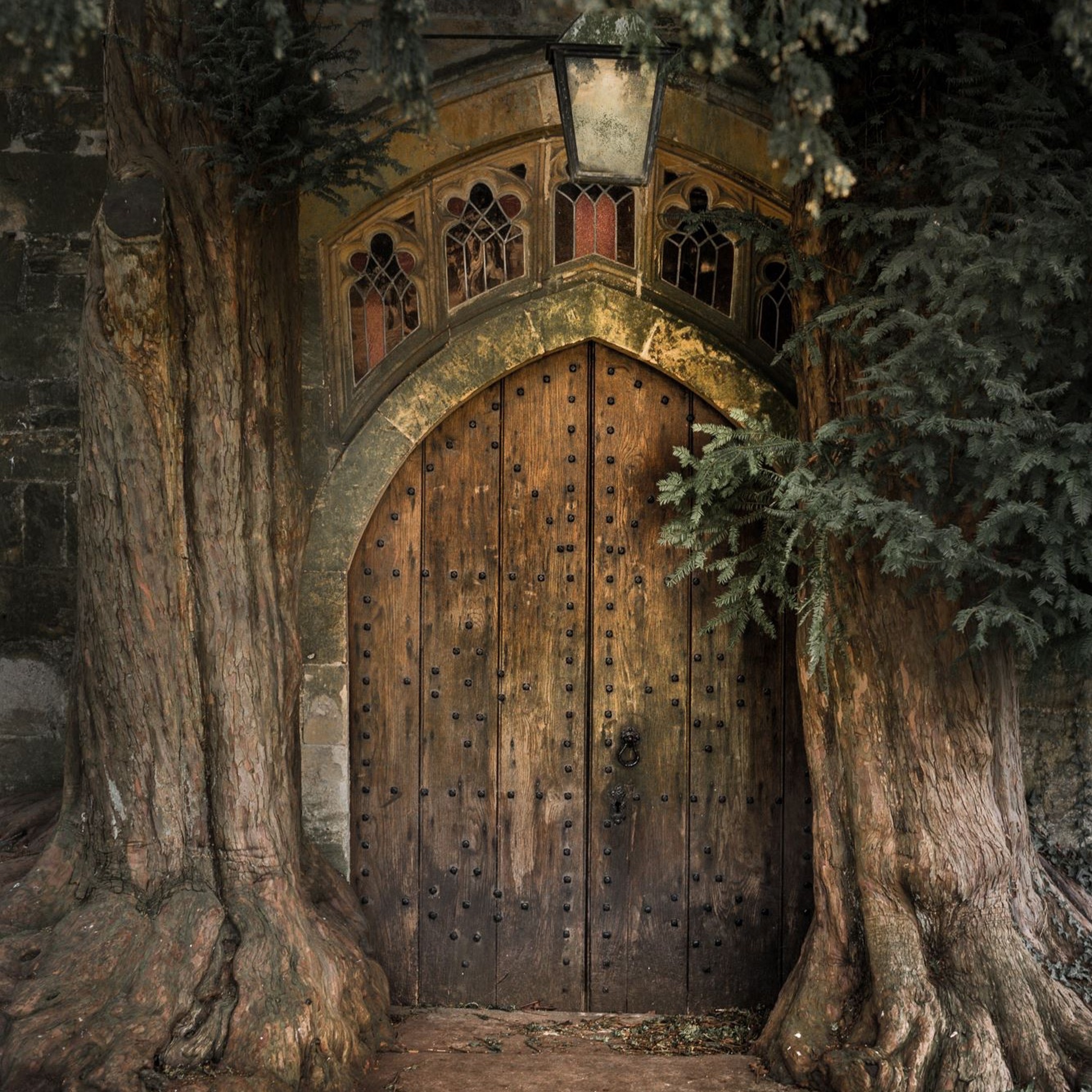 Guinneviere episode artwork
