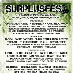 LEEROY - Surplusfest Promo 2017
