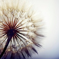 Oliver Chaves @Wolkenburg 2017-06-10