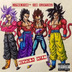 Bermuda Intro