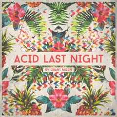 Grant Mizon - Acid Last Night