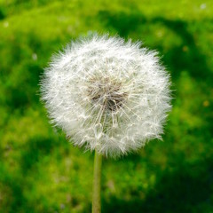 do the astral plane (Prod by Courtland Urbano)