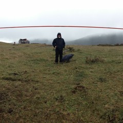 Eric Mattson - Les Chiens - ROUGh - Mix