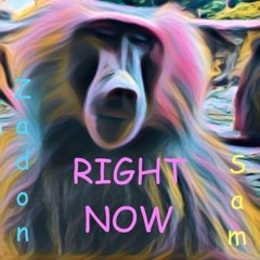 Right Now (ft. Sam Rui)