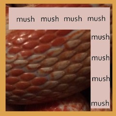 mush (demo)