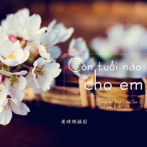 Còn Tuổi Nào Cho Em || Trịnh Công Sơn // Hiển Vinh