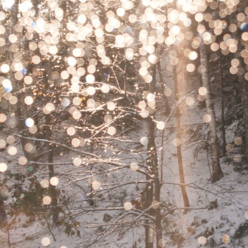 Download Winter Song Extreme Music By Chillsquid