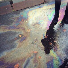 Green After the Rain