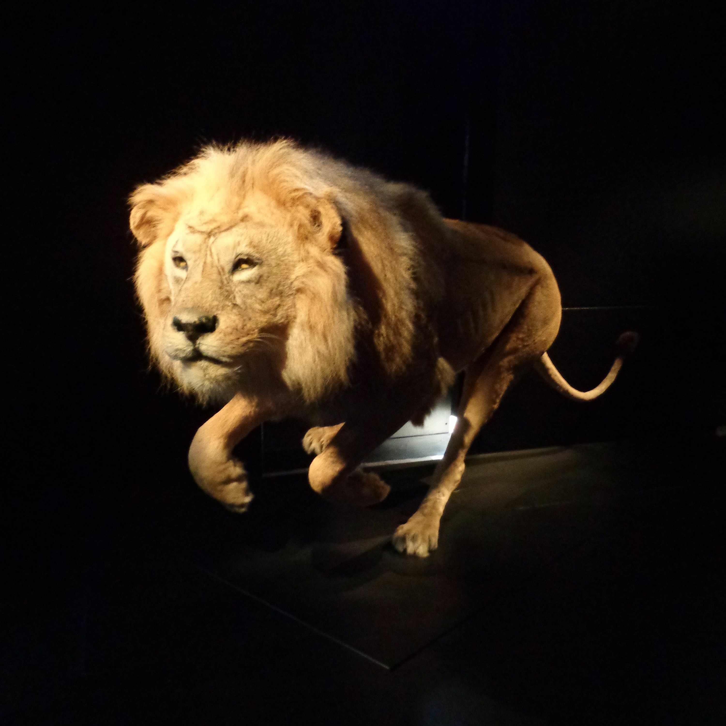 institut national du patrimoine