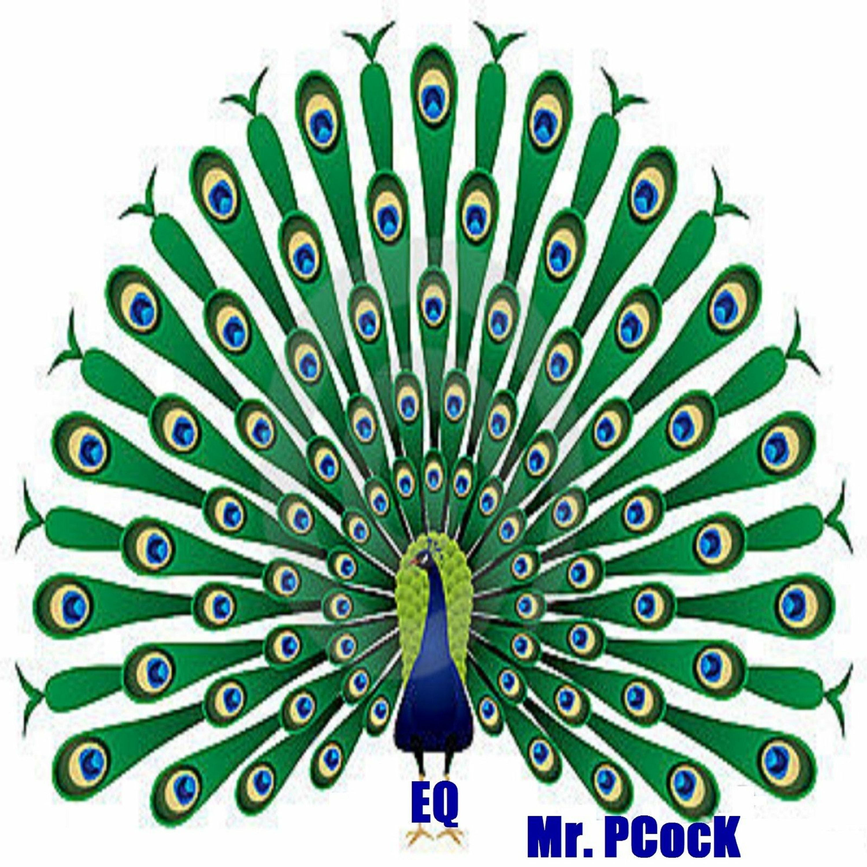 Mr. PCock episode artwork