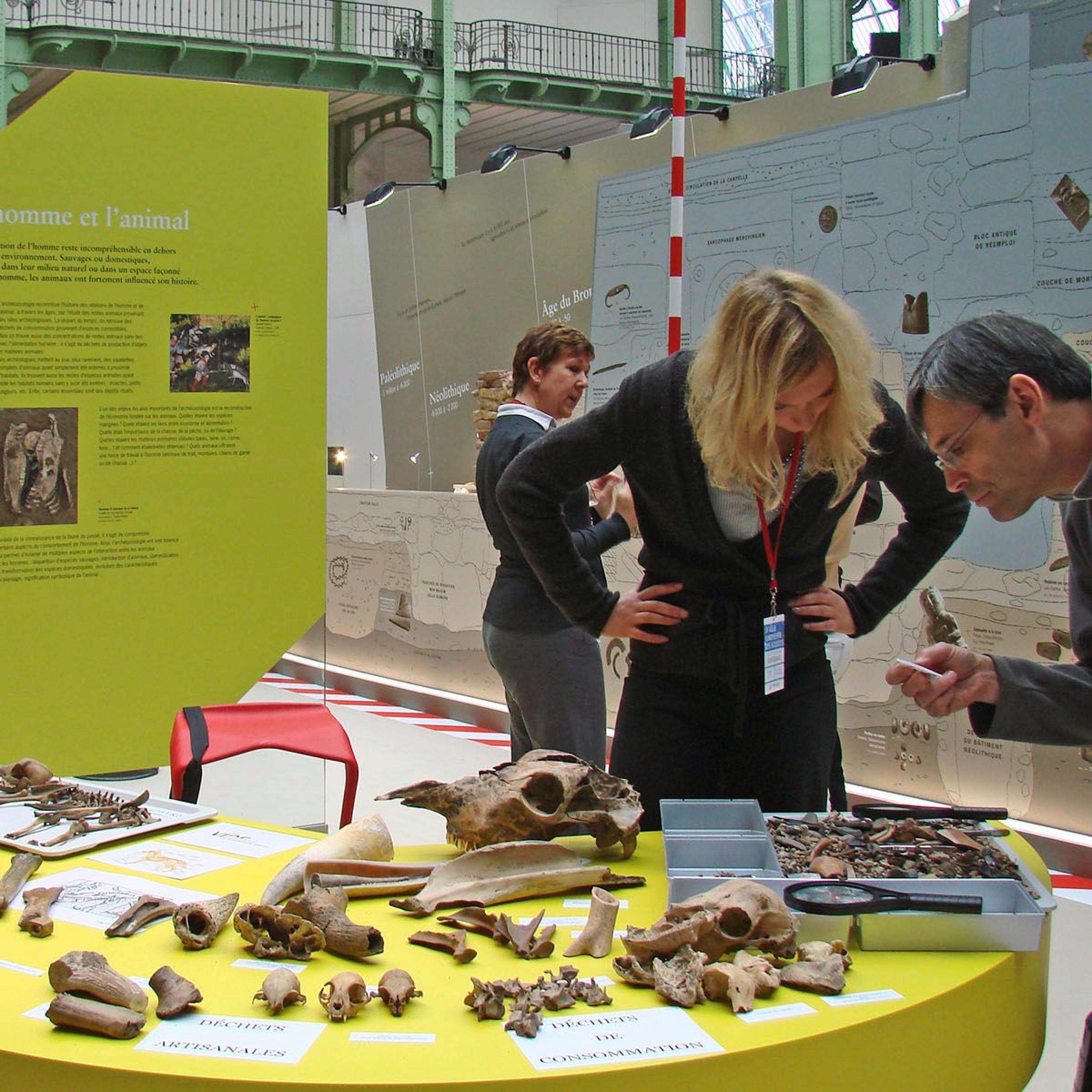 institut national du patrimoine