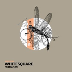 Download: Whitesquare - Definition of Anticipation