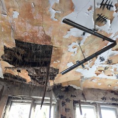 Basic Human - Cosmuntitled