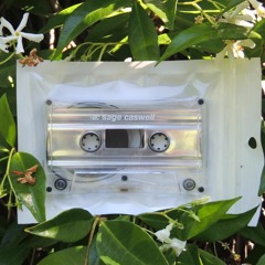 PREMIERE: Sage Caswell - Wrong Division [slumdiscs]