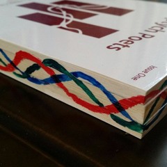 Episode 15 - Pulpture