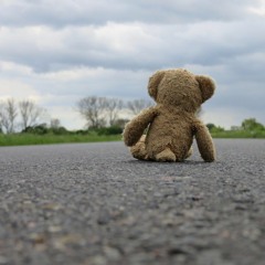 J'ai Perdu Mon Nounours