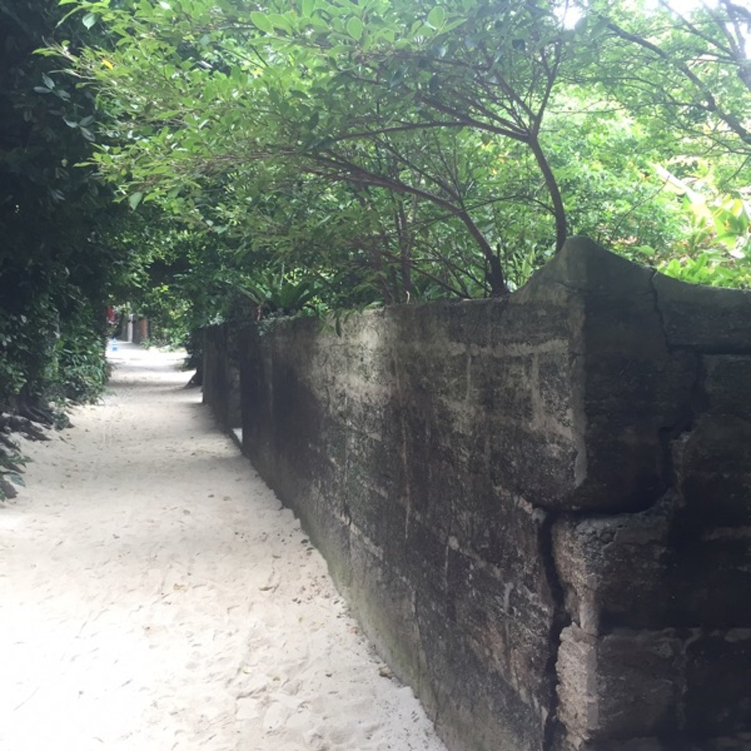 Stream 世界の終わり sekai no owari ミッシェルガンエレファント thee