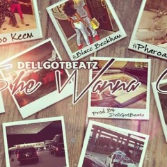 DellGotBeatz ft. Jonray, Koo Keem, Blacc Beckham, Phroahh, Ly'jah - She Wanna Go