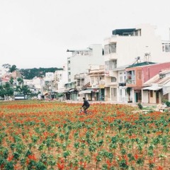 Vài Bài Hát Trong Đời