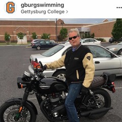 quit swimming drink beer