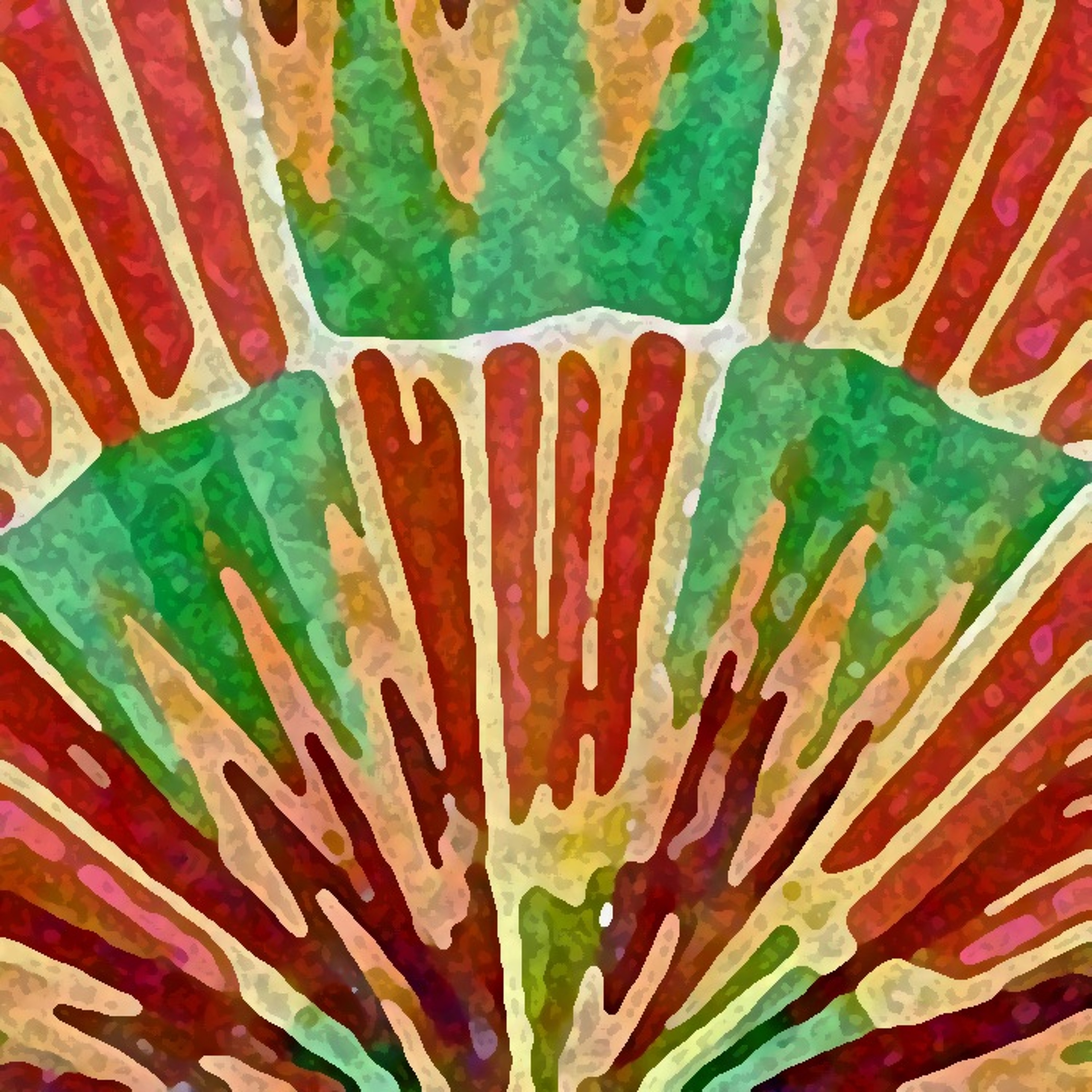 African Vibez episode artwork