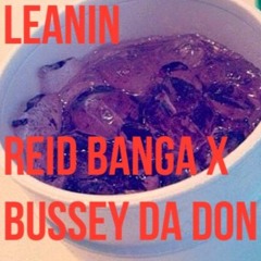 Reid Banga x Bussey DaDon - Leanin