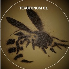 TEKOTONOM 01 // A1 : Résonance