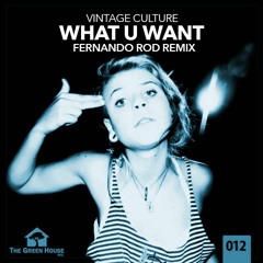 Vintage Culture - What u Want (Fernando Rod Remix)