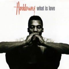 Heimchen - What Is Love [Hardtekk Remix]