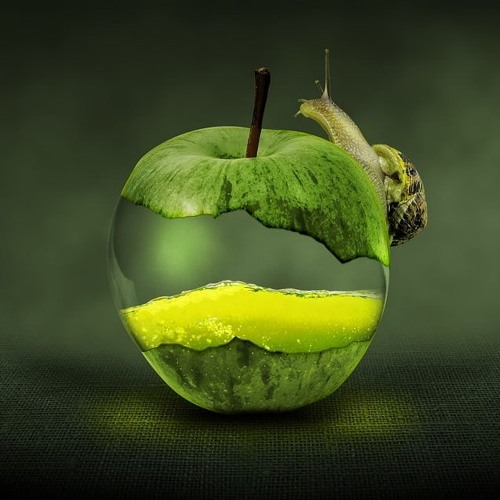 金久哲 - 敬天敬地敬兄弟