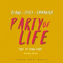 Party Of Life Ft Spicy & Emmanyra