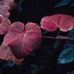 ASH-TRACK I DID FOR NEW ARTIST. MY ALBUM HITS THE FLOOR JULY 3RD