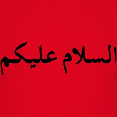 Salamaleykoum feat Widgunz