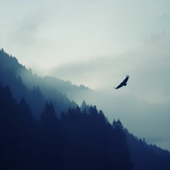Ambient