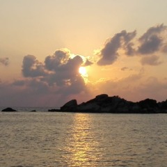 Stealpot Original Tracks