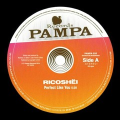 Ricoshëi - Perfect Like You (Original Mix)