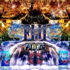 FIJI FLOW$ Ft. Makeshift Misfit Prod. Reptilian