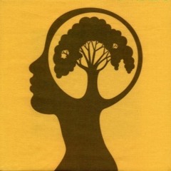 MPD 322 (Jurassic 5 - Linguistics)