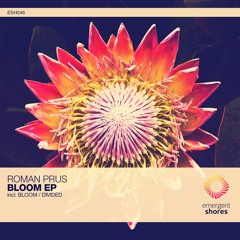 Roman Prus - Bloom