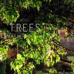 8. ninas interlude Pt.II[Rough]