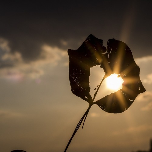 Meditación- Desbloquear el plexo solar